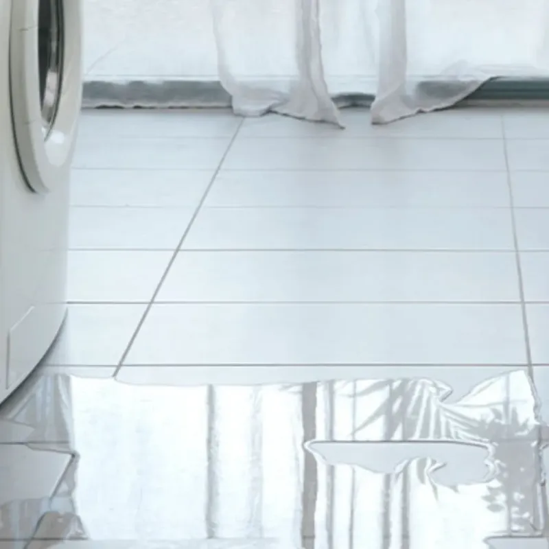 Appliance Leak Cleanup in Weldon, CA